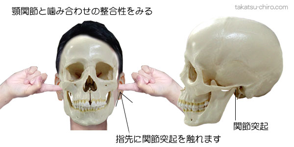 顎関節と噛み合わせの整合性の確認方法