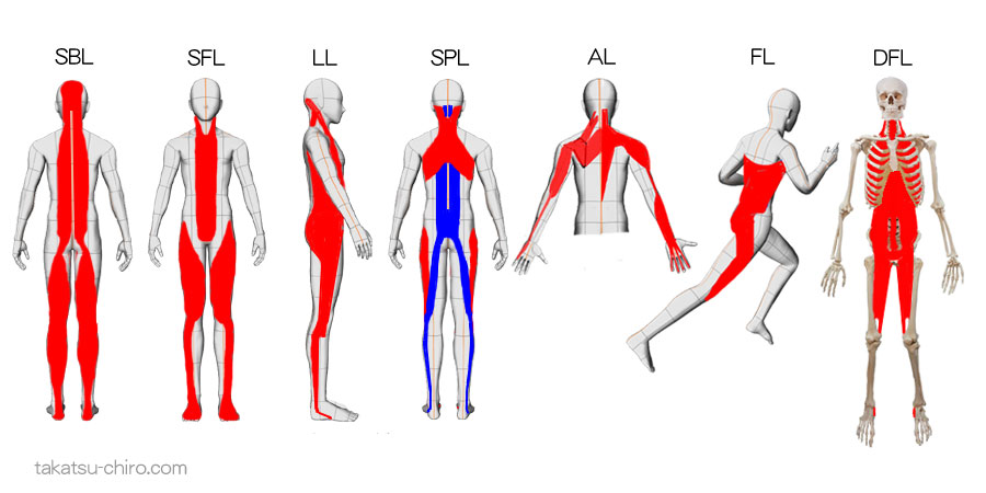 アナミー・トレインのラインの種類