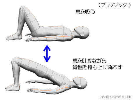 尿漏れ（腹圧性尿失禁）を改善するエクササイズ、ブリッジング