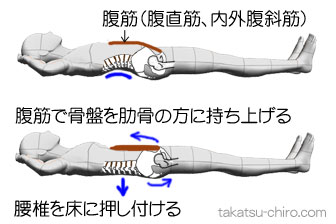 猫背の反り腰を治し腹筋を鍛えるエクササイズ