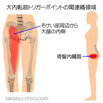 大内転筋の下肢の痛みの領域