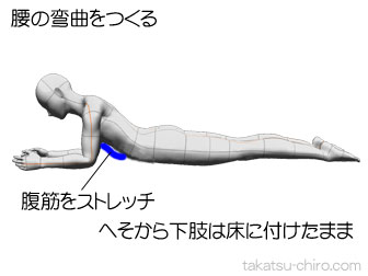 猫背の腰椎後弯を治すストレッチ