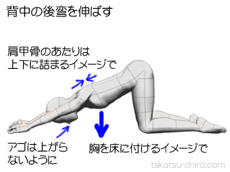 猫背の背中を自分で治すストレッチ