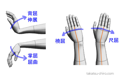 手首の掌屈、背屈、橈屈、尺屈の可動制限検査