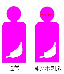 満腹中枢を刺激