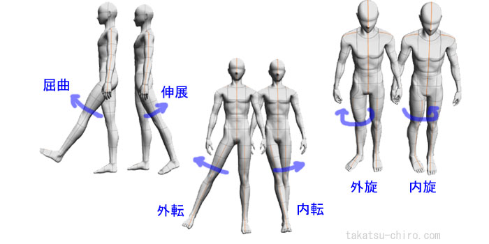 股関節の屈曲、伸展、外転、内転、回旋