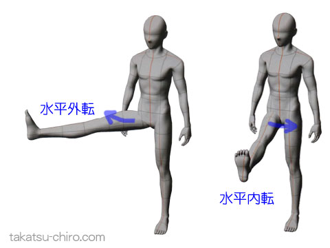 股関節の水平外転、水平内転