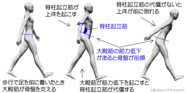 長時間歩くと腰が痛い原因