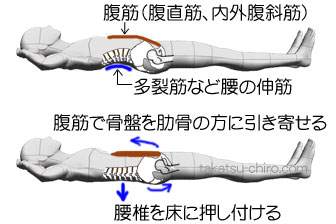 腰が曲がらないぎっくり腰のエクササイズ